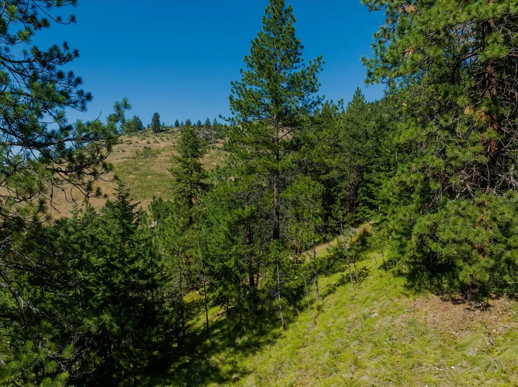 18 Lookout Lane Plains MT 59859