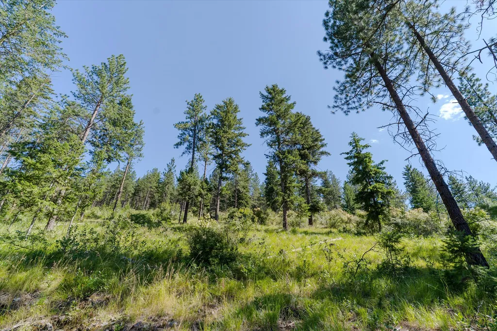 18 Lookout Lane Plains MT 59859