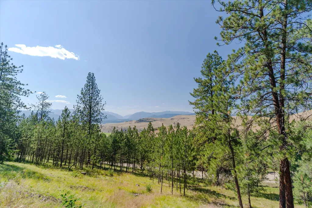 18 Lookout Lane Plains MT 59859
