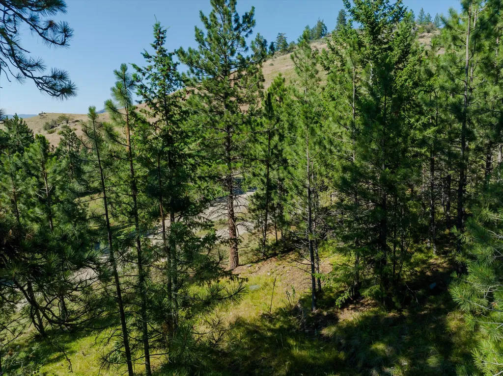 18 Lookout Lane Plains MT 59859