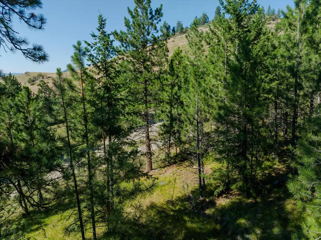 18 Lookout Lane Plains MT 59859
