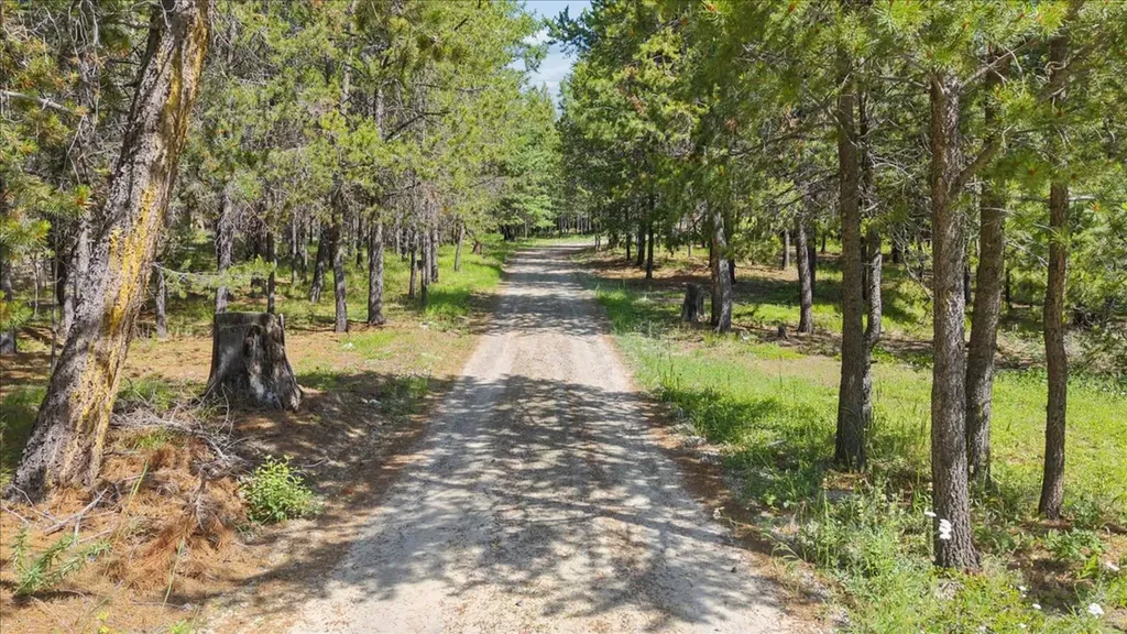 187 Bear Cat Trail Marion MT 59925