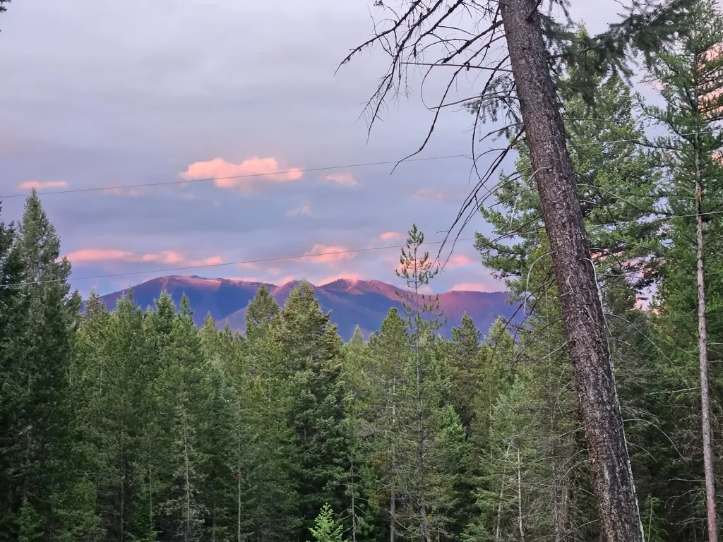 65 Moose Farm Road Fortine MT 59918