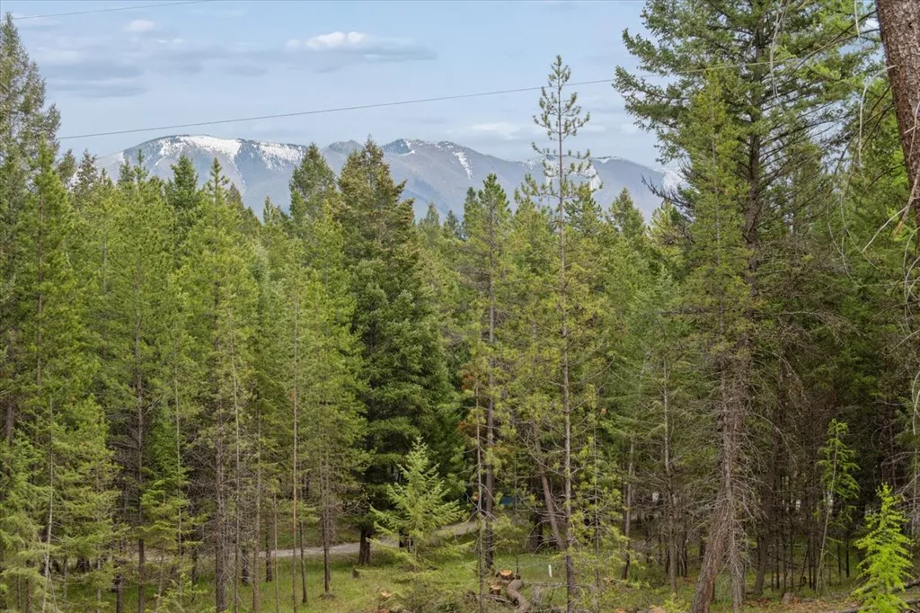 65 Moose Farm Road Fortine MT 59918