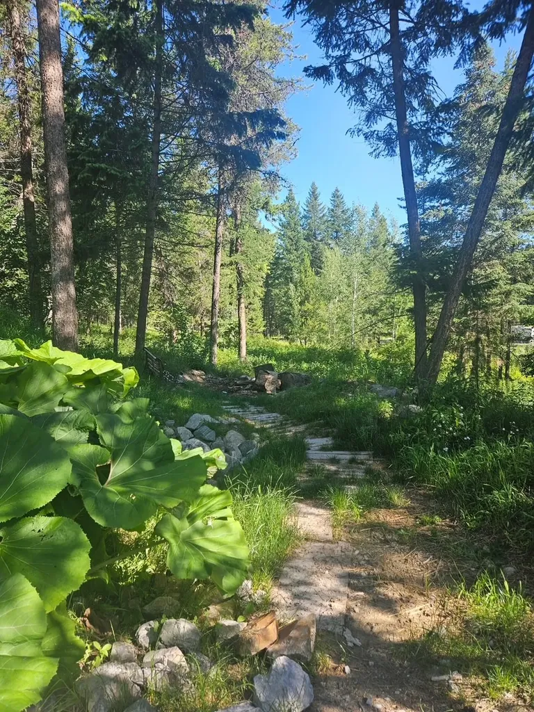 65 Moose Farm Road Fortine MT 59918