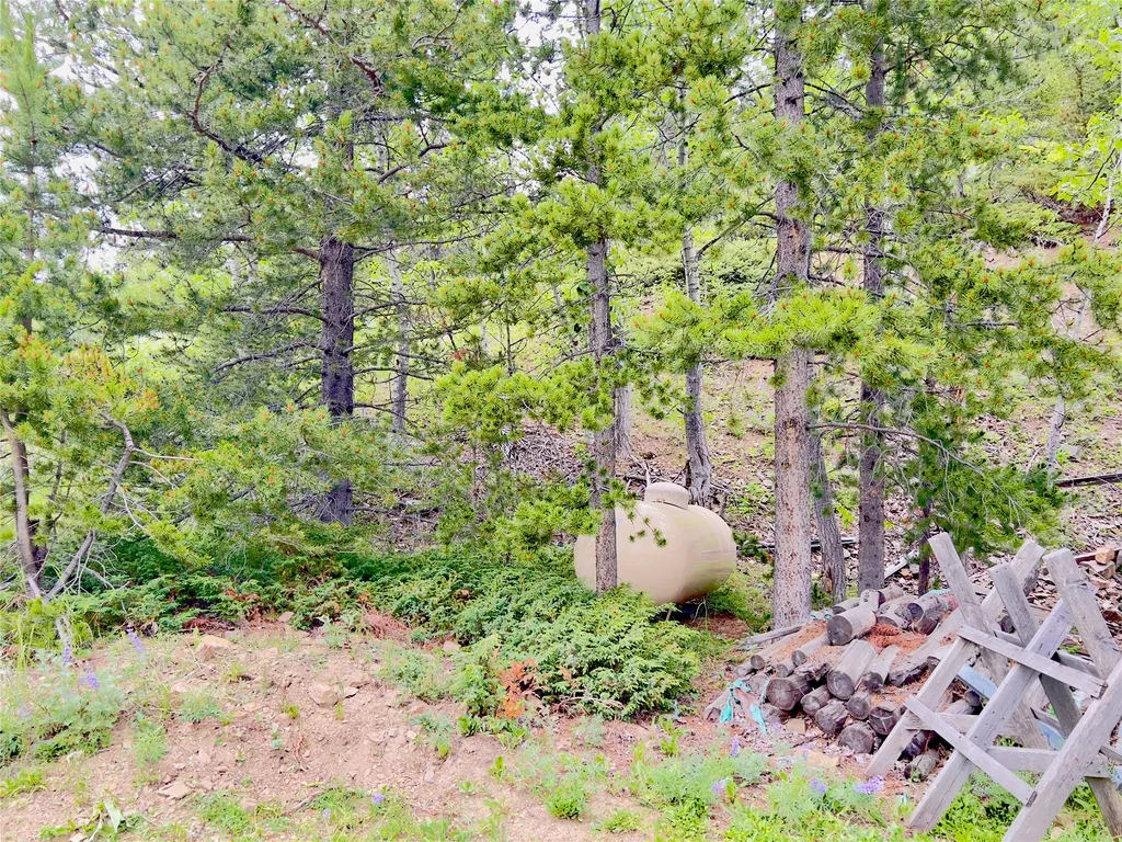 310 N Forest Street Neihart MT 59465