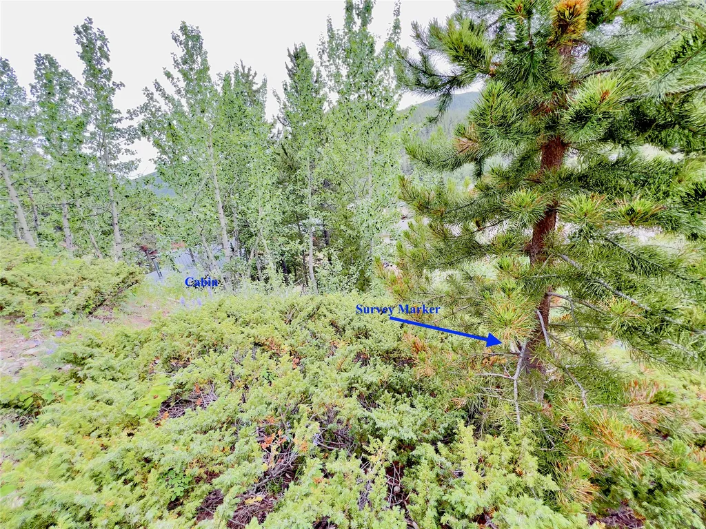 310 N Forest Street Neihart MT 59465