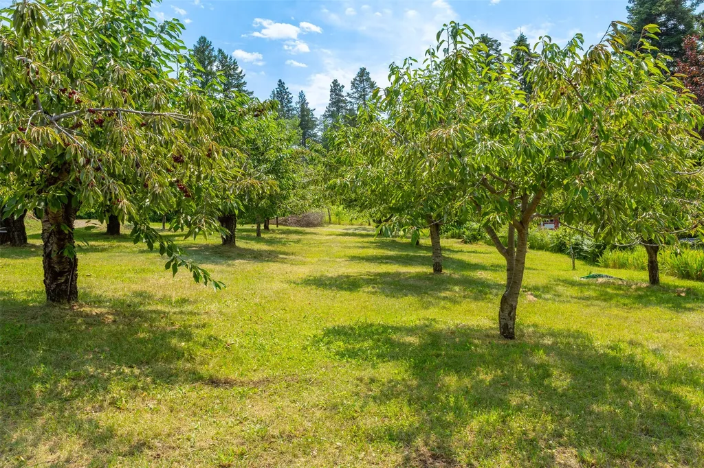 19537 Mt Highway 35 Bigfork MT 59911
