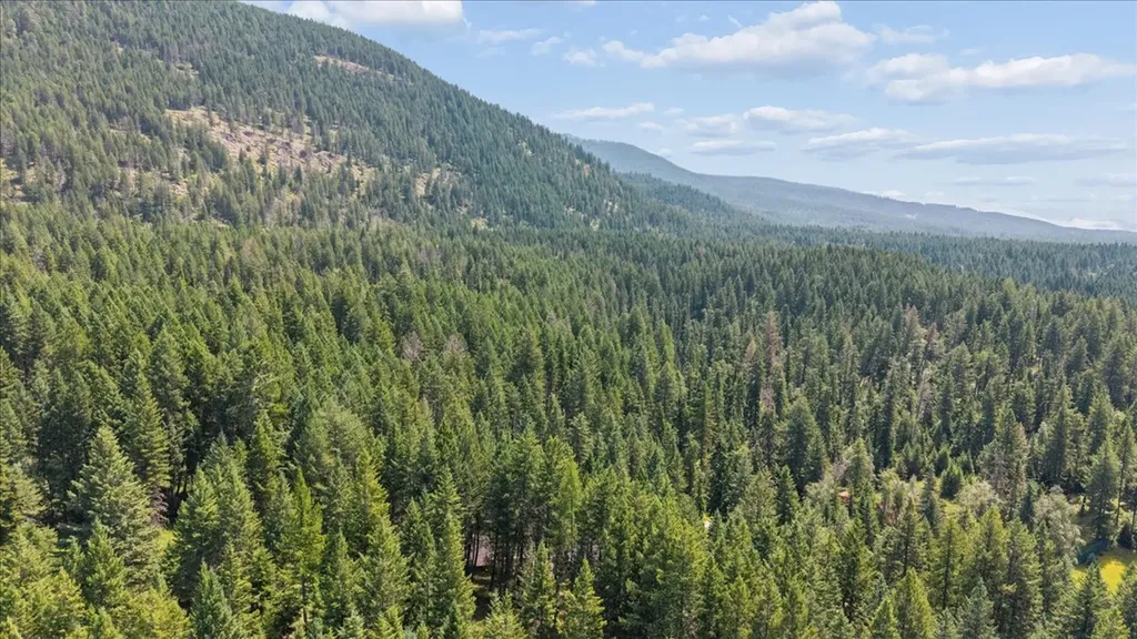 185 Blaine Meadow Lane Kalispell MT 59901
