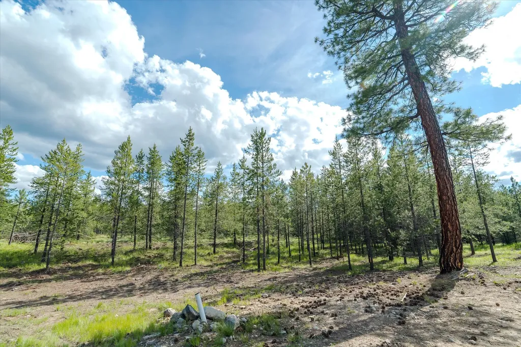 18 Gunsite Court Marion MT 59925
