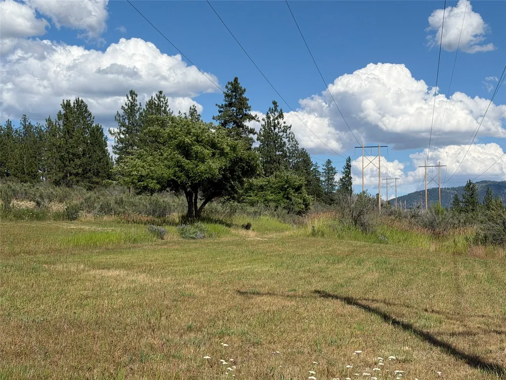 36 Sagebrush Lane Plains MT 59859