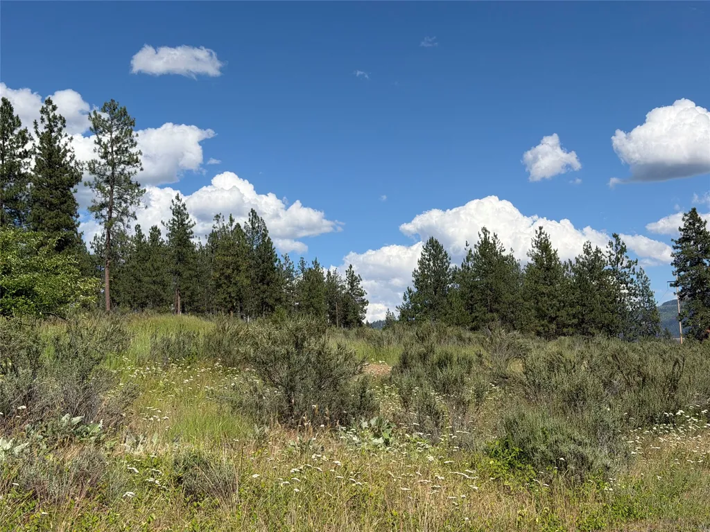 36 Sagebrush Lane Plains MT 59859