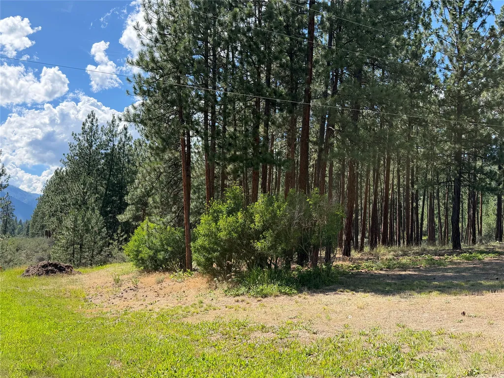 36 Sagebrush Lane Plains MT 59859