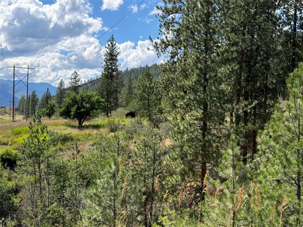 36 Sagebrush Lane Plains MT 59859