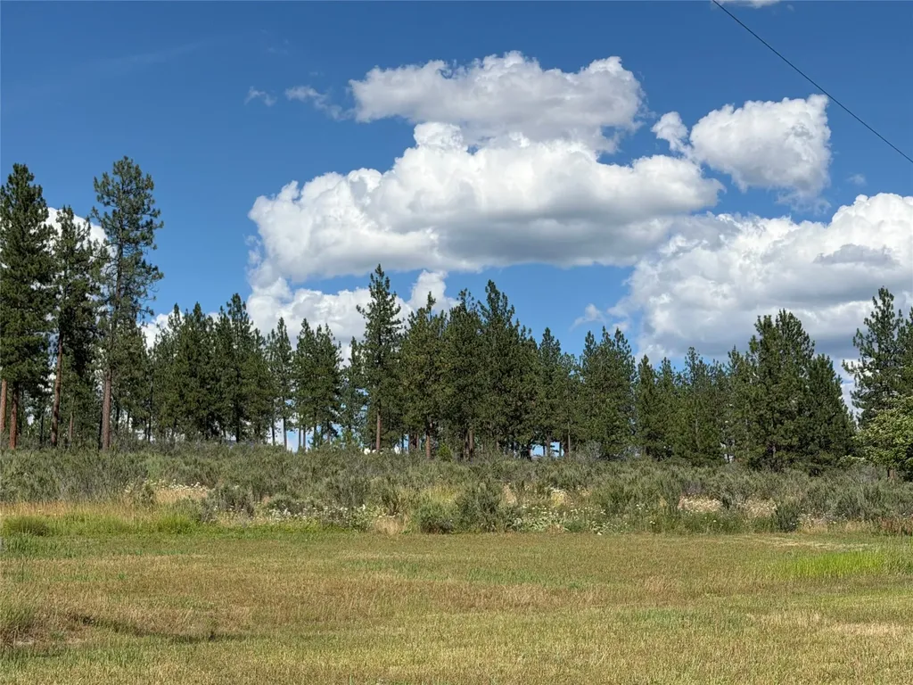 36 Sagebrush Lane Plains MT 59859