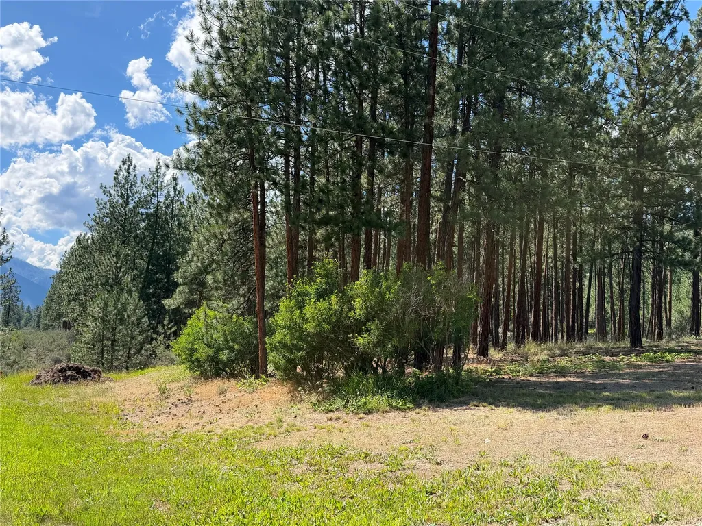 36 Sagebrush Lane Plains MT 59859