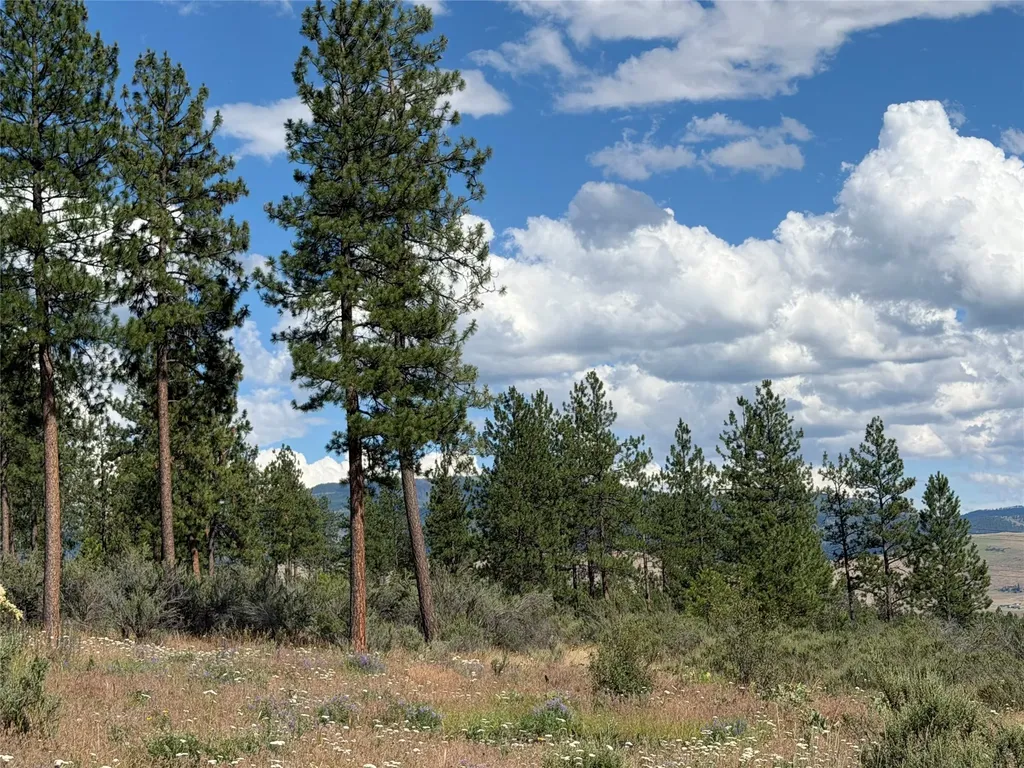 36 Sagebrush Lane Plains MT 59859
