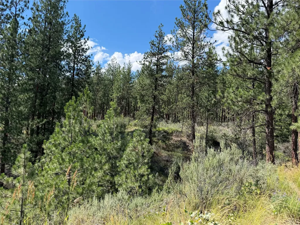 36 Sagebrush Lane Plains MT 59859