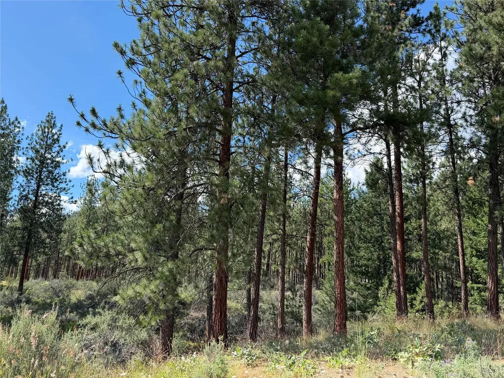 36 Sagebrush Lane Plains MT 59859