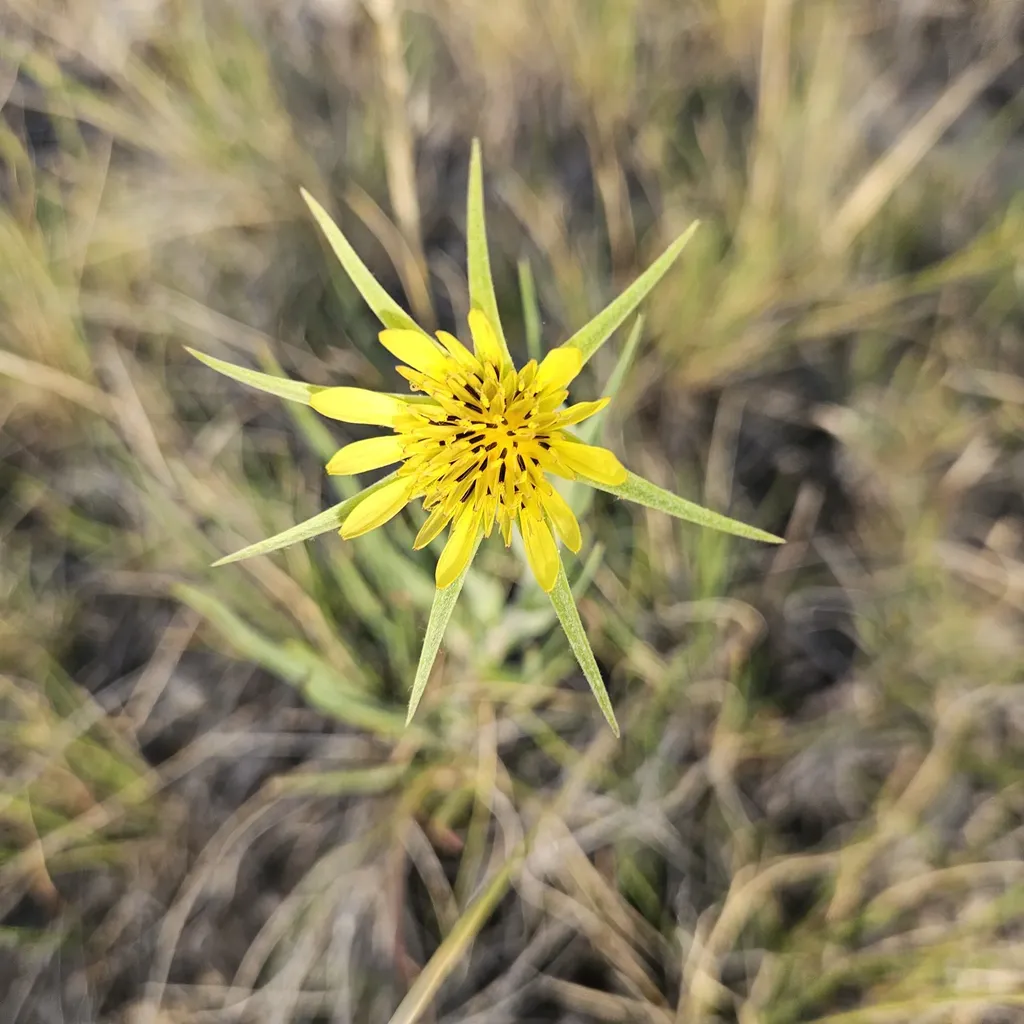 Lot 108 E Bitterroot Lane Augusta MT 59410