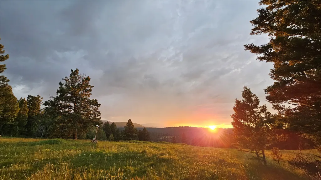 1835 Indian Creek Road Helmville MT 59843