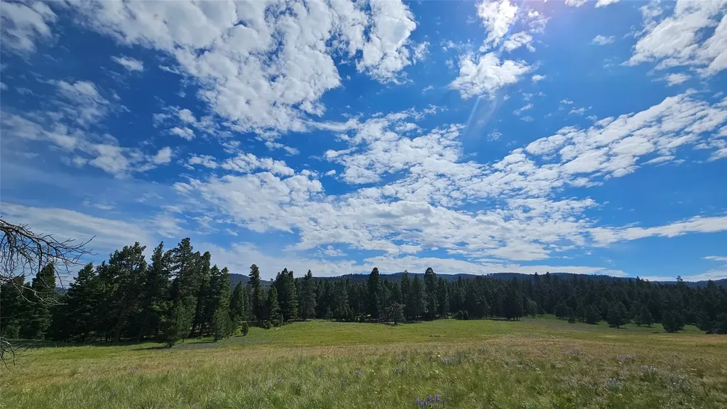 1835 Indian Creek Road Helmville MT 59843