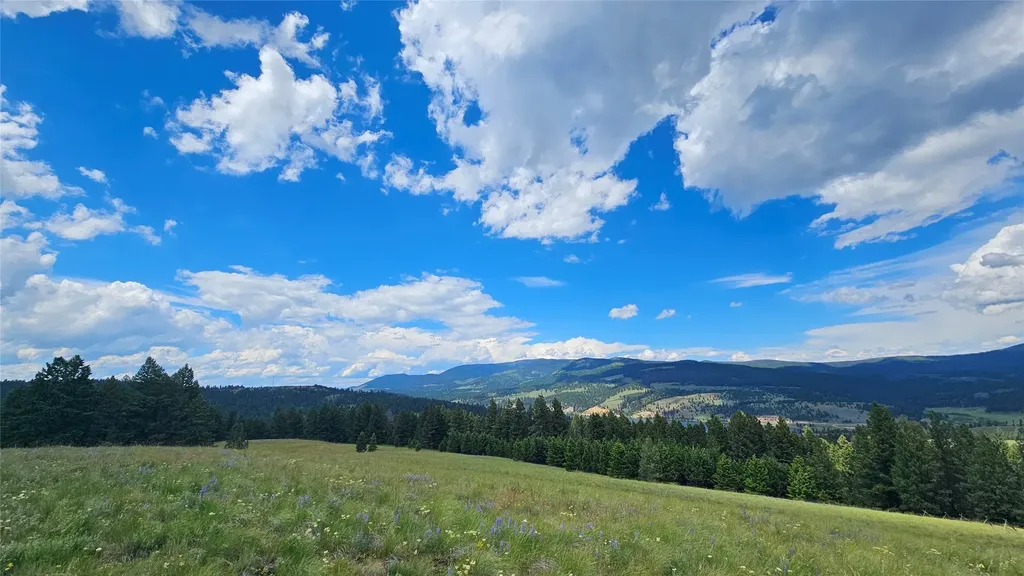 1835 Indian Creek Road Helmville MT 59843
