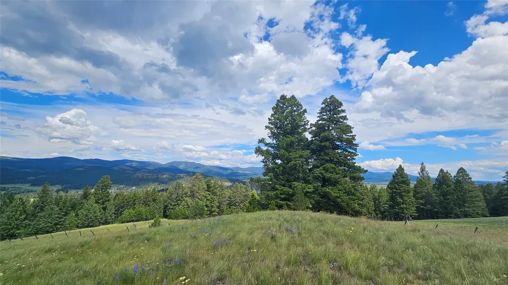1835 Indian Creek Road Helmville MT 59843