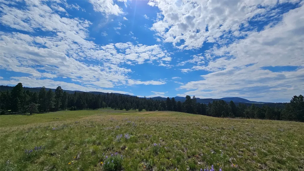 1835 Indian Creek Road Helmville MT 59843