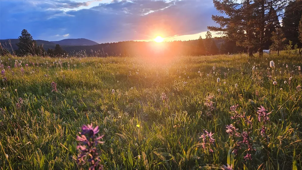 1835 Indian Creek Road Helmville MT 59843