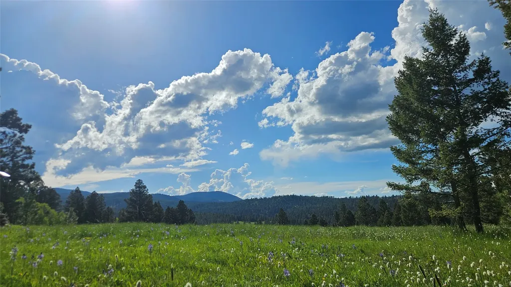 1835 Indian Creek Road Helmville MT 59843