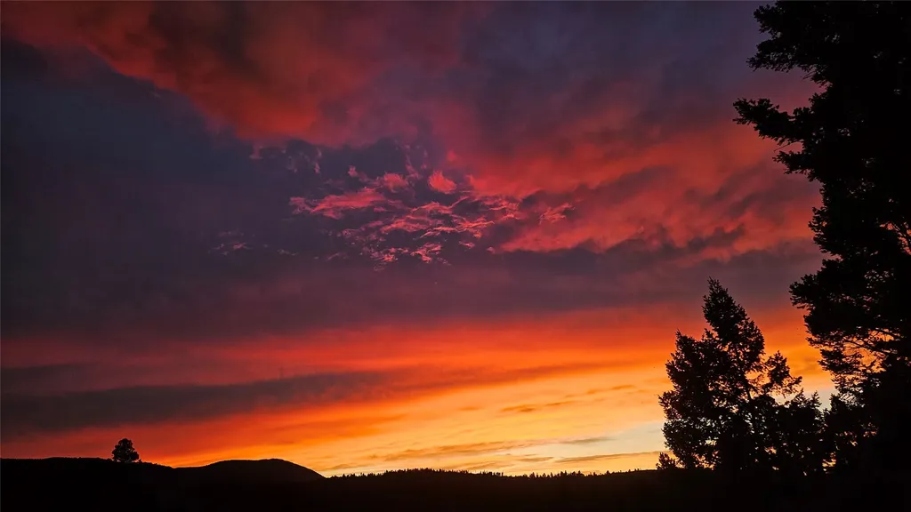 1835 Indian Creek Road Helmville MT 59843