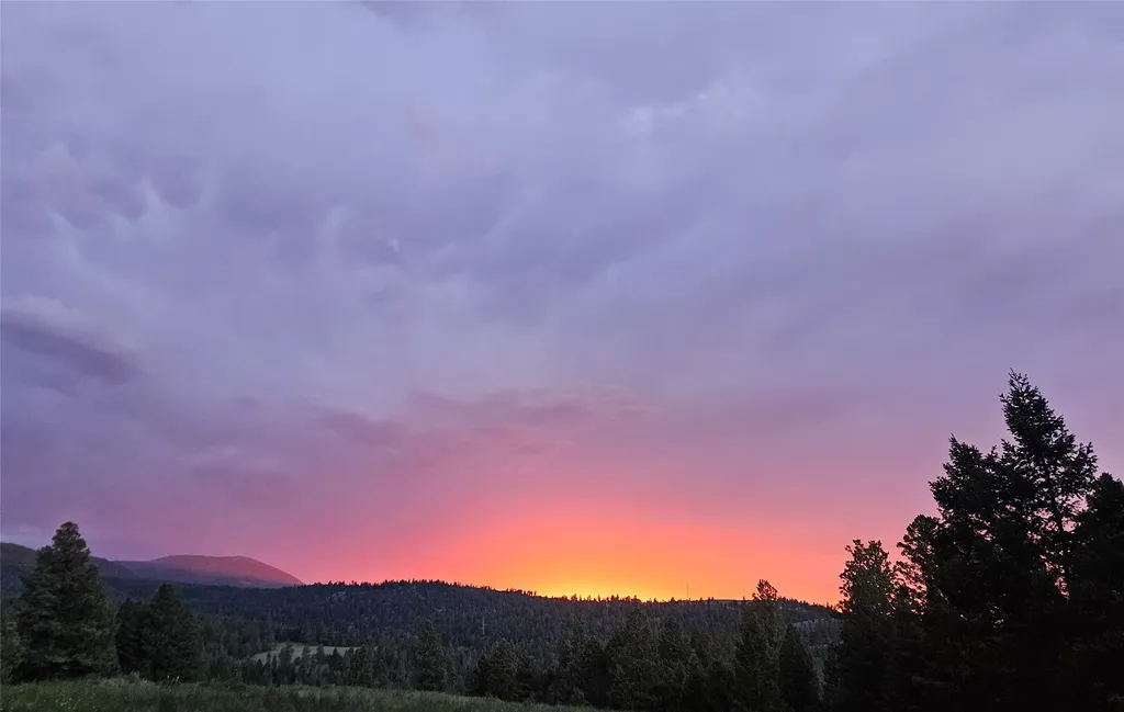 1835 Indian Creek Road Helmville MT 59843