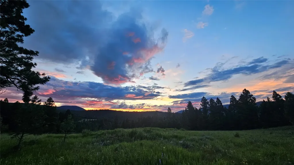 1835 Indian Creek Road Helmville MT 59843