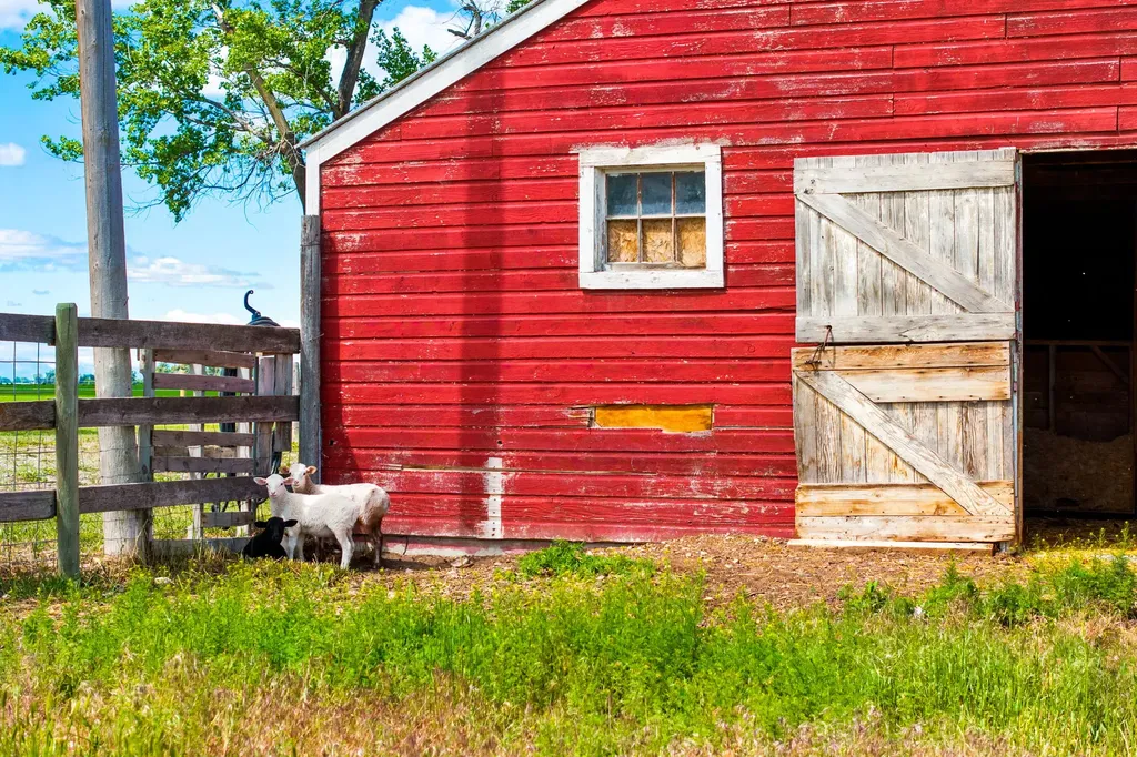 860 Mt Highway 431 Fairfield MT 59436