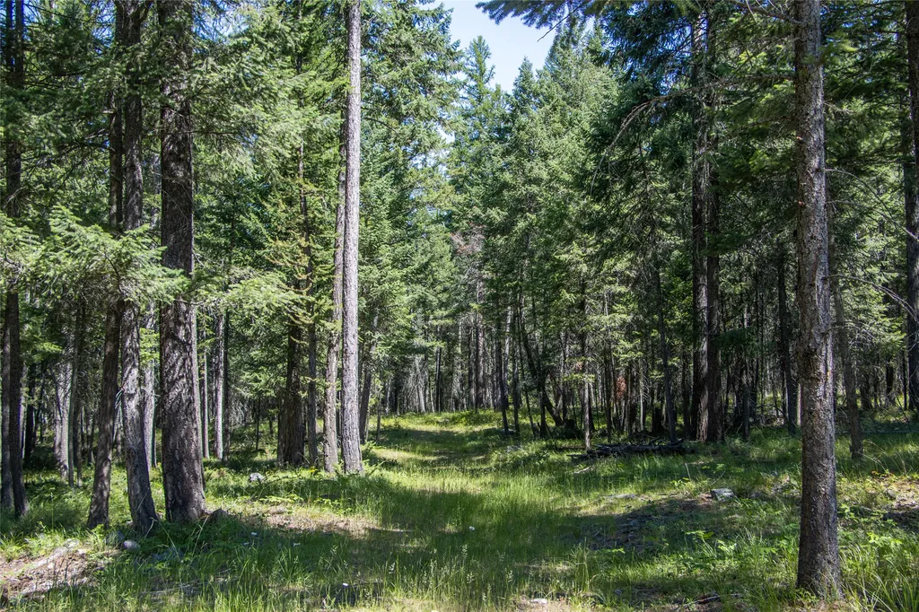 660 Boulder Ridge Trail Columbia Falls MT 59912