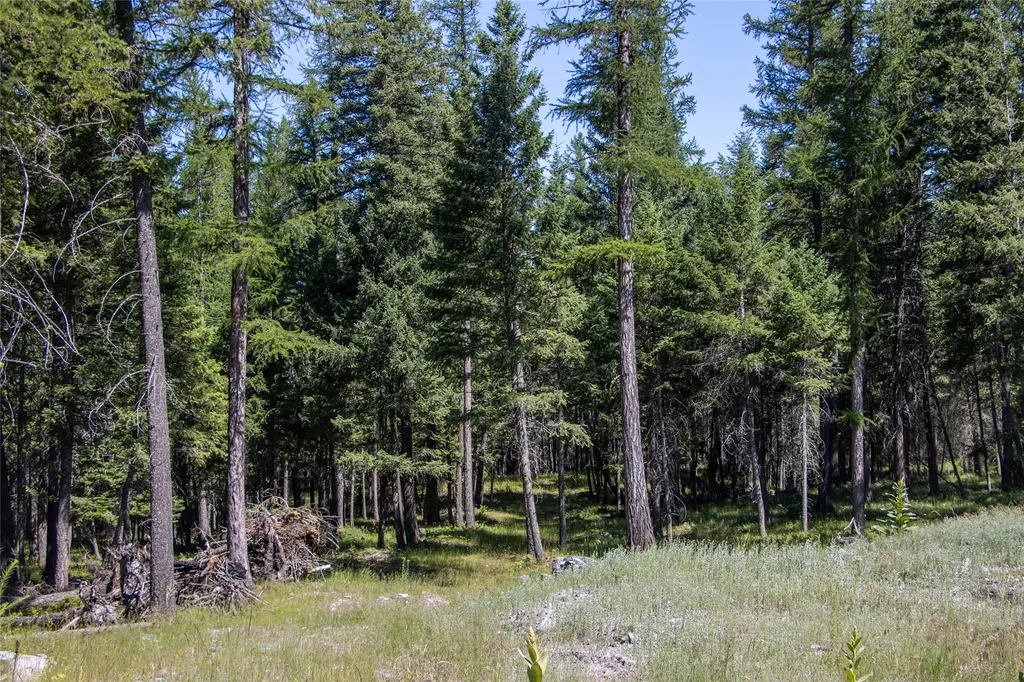 660 Boulder Ridge Trail Columbia Falls MT 59912