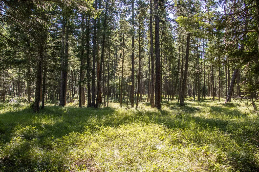 660 Boulder Ridge Trail Columbia Falls MT 59912