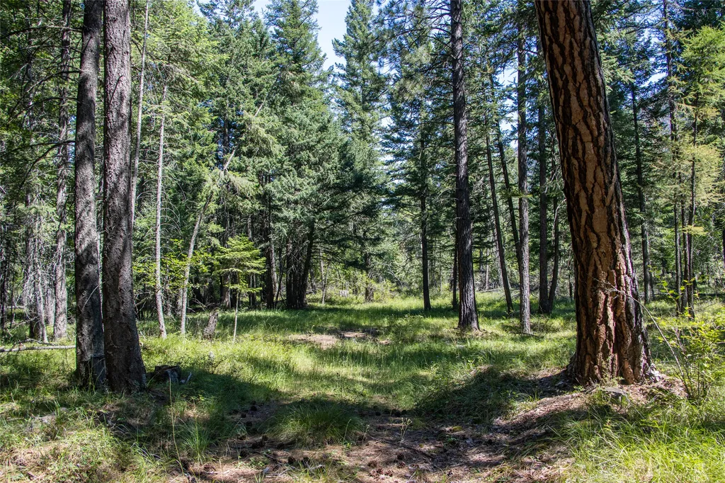 660 Boulder Ridge Trail Columbia Falls MT 59912