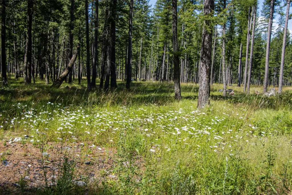 660 Boulder Ridge Trail Columbia Falls MT 59912
