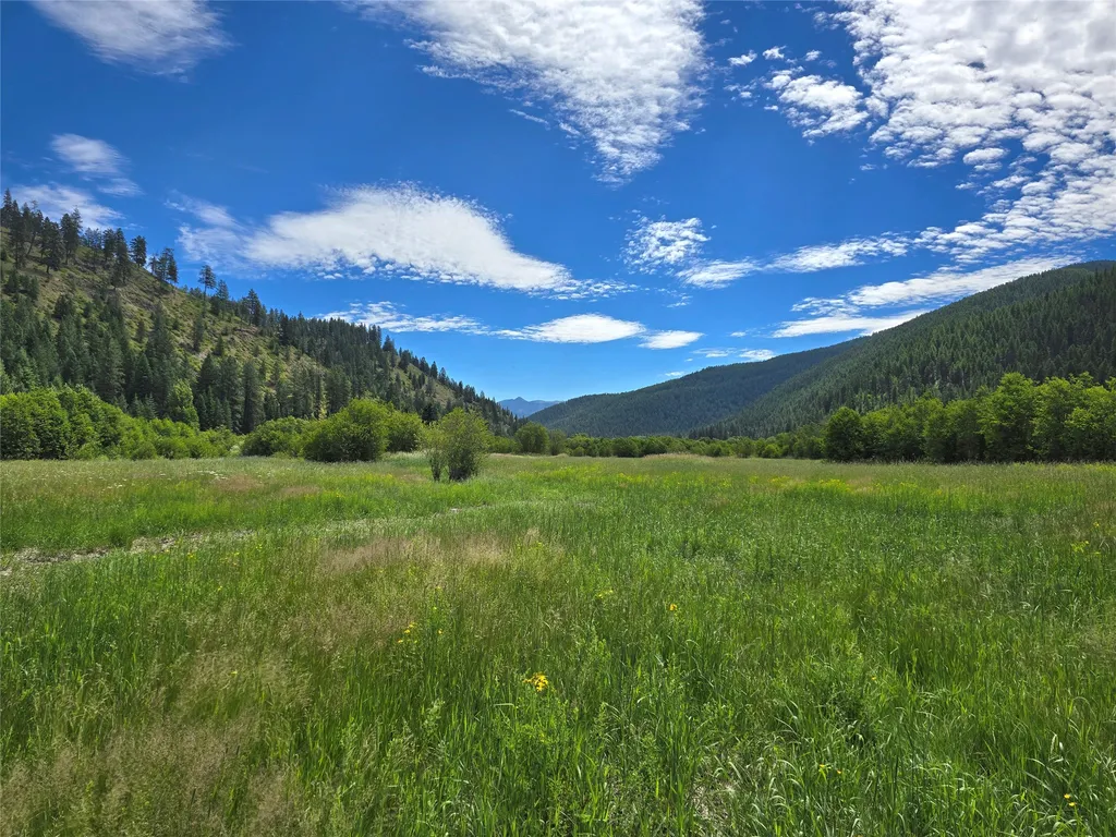 402 Whitepine Creek Road Trout Creek MT 59874