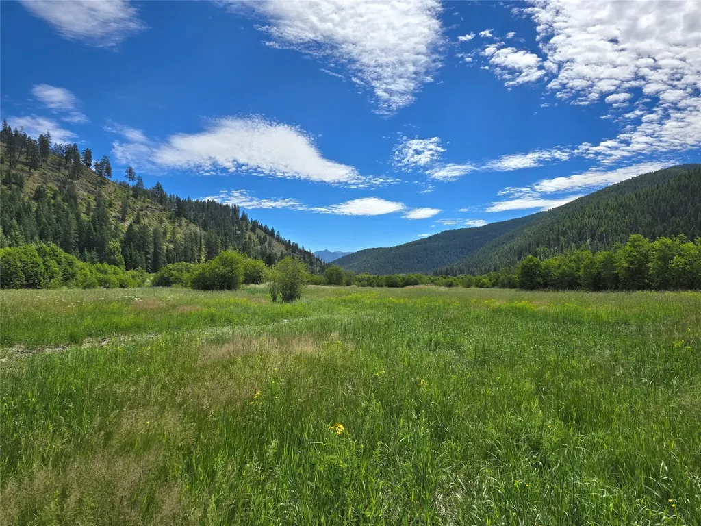 402 Whitepine Creek Road Trout Creek MT 59874