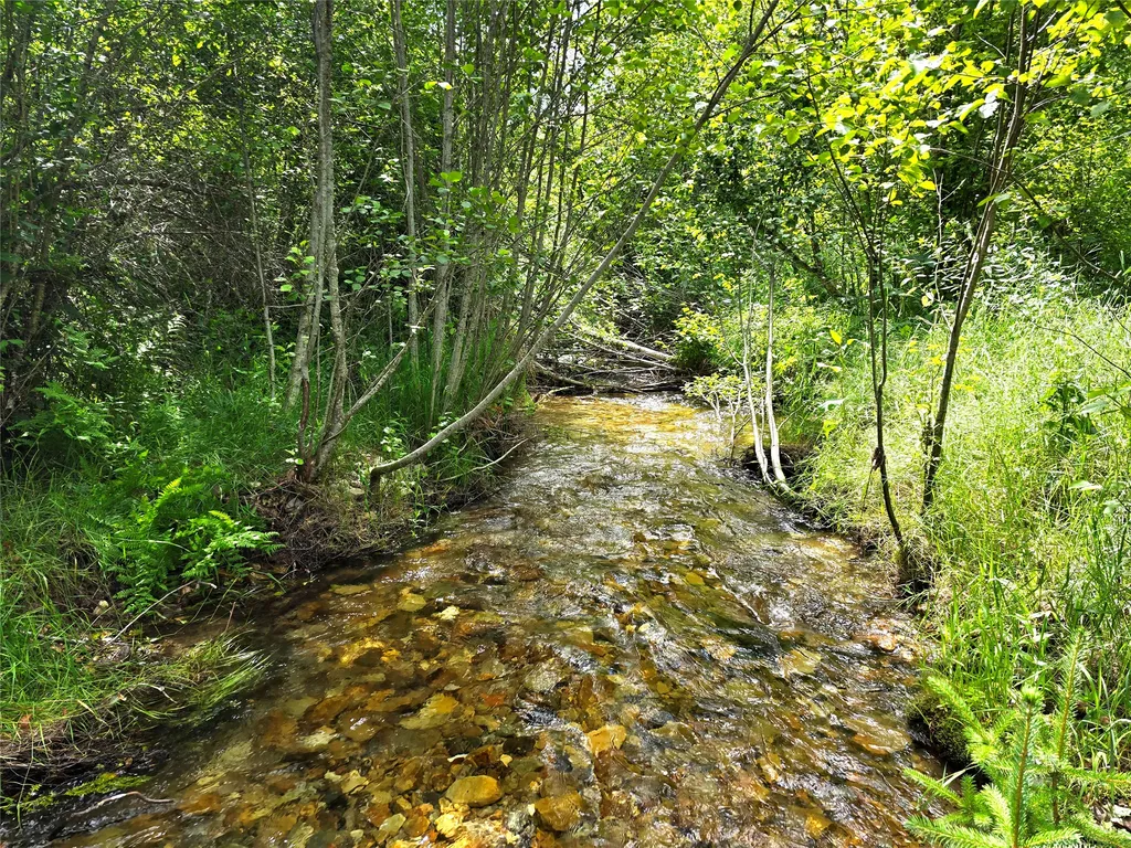 402 Whitepine Creek Road Trout Creek MT 59874