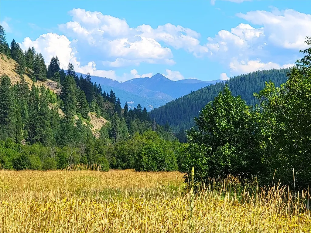 402 Whitepine Creek Road Trout Creek MT 59874