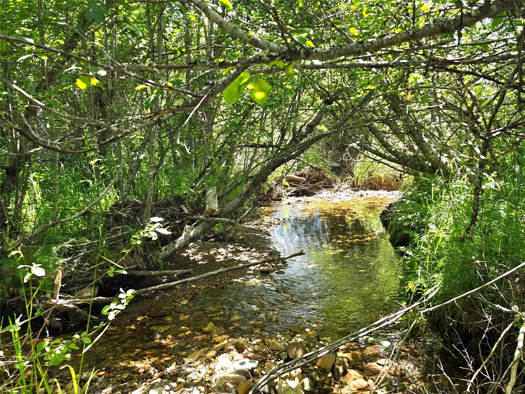 402 Whitepine Creek Road Trout Creek MT 59874