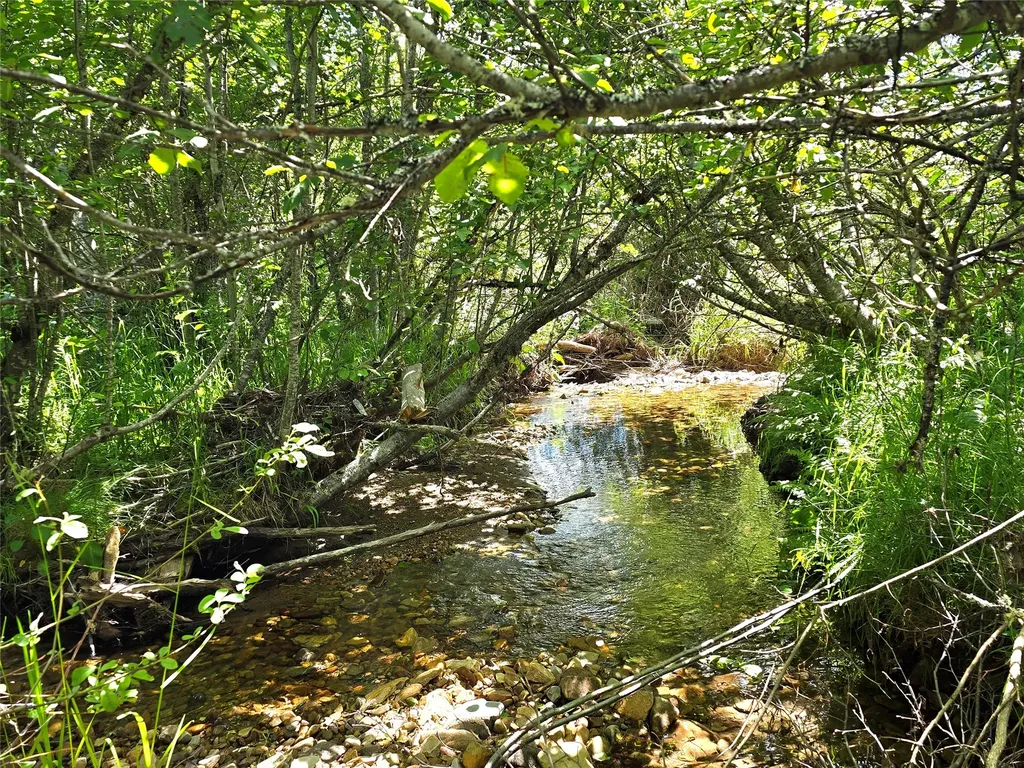 402 Whitepine Creek Road Trout Creek MT 59874