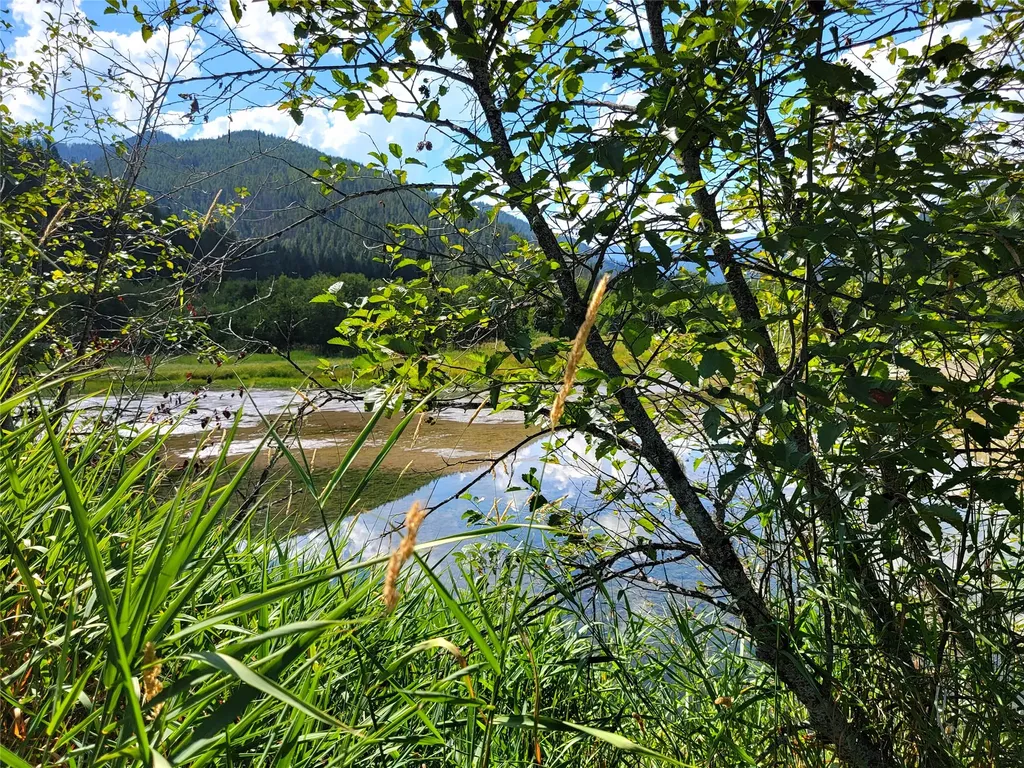 402 Whitepine Creek Road Trout Creek MT 59874