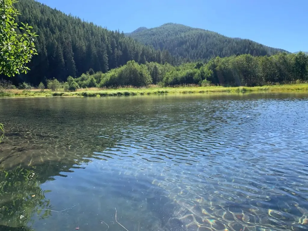 402 Whitepine Creek Road Trout Creek MT 59874