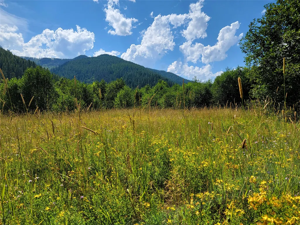402 Whitepine Creek Road Trout Creek MT 59874