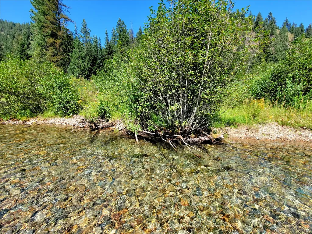 402 Whitepine Creek Road Trout Creek MT 59874
